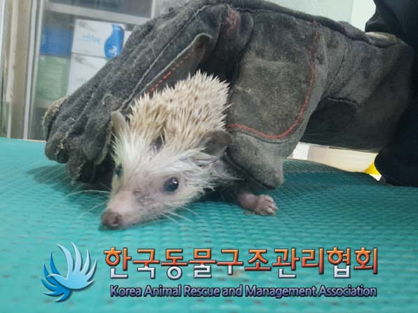 한국동물구조관리협회_441404202400490