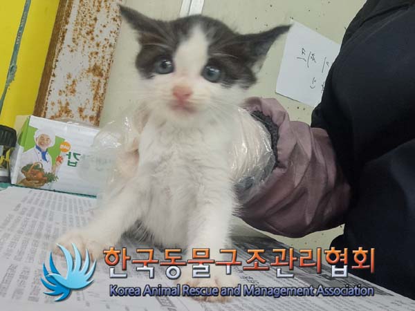 한국동물구조관리협회_441404202400491