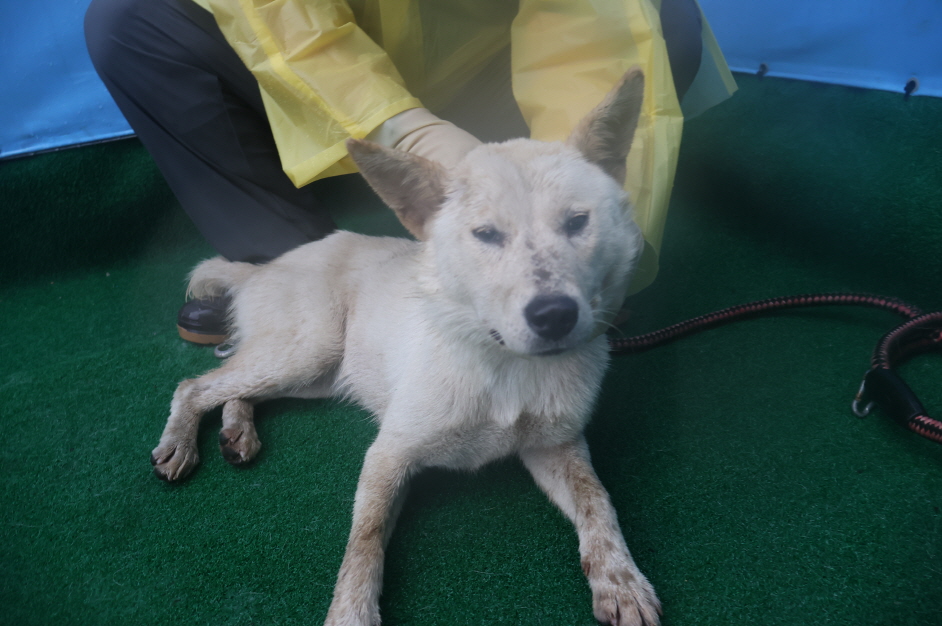 제주 동물보호센터_450650202402740