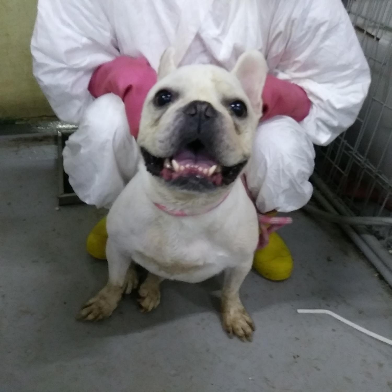 인천광역시수의사회_428351202400615