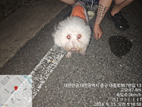 대전동물보호센터_430365202400397