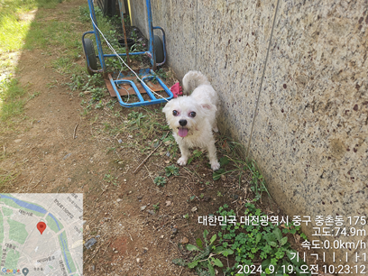 대전동물보호센터_430365202400401
