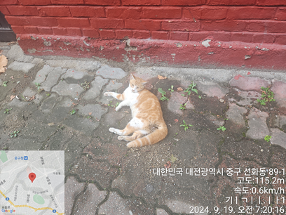 종료(자연사) 한국…