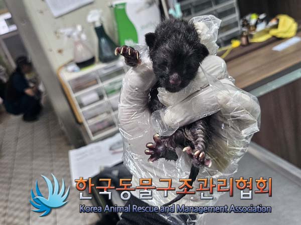 한국동물구조관리협회_411306202400703