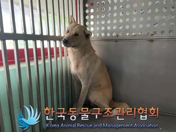 한국동물구조관리협회_441409202401374