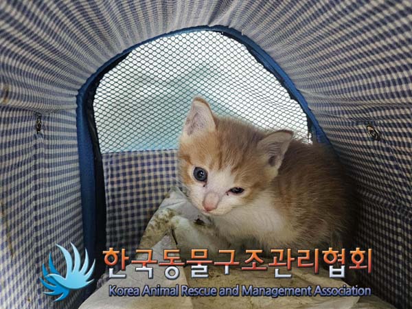 한국동물구조관리협회_411323202400969