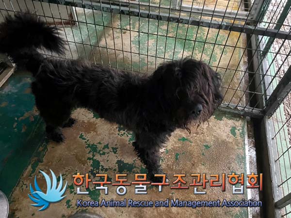 한국동물구조관리협회_441406202401495