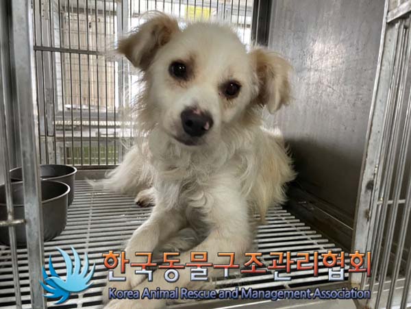 한국동물구조관리협회_441560202401155