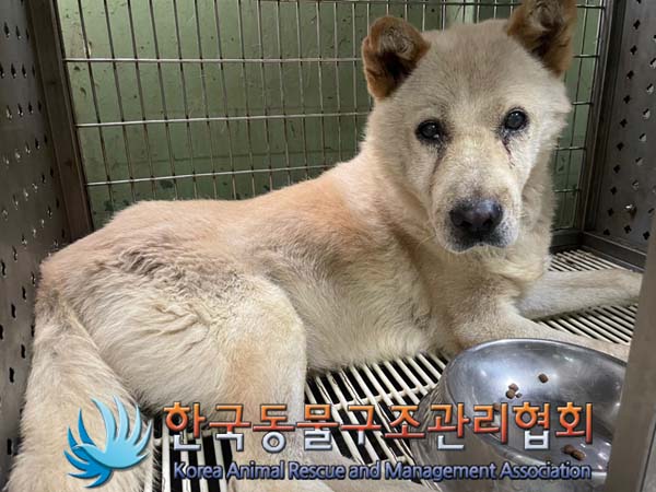 한국동물구조관리협회_441398202400319