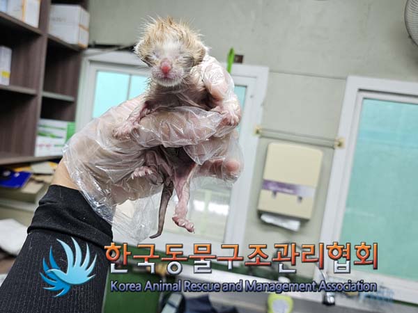 종료(자연사) 한국…