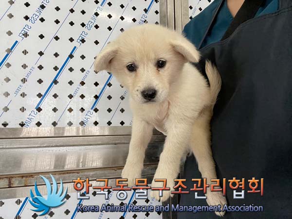 한국동물구조관리협회_441406202401503