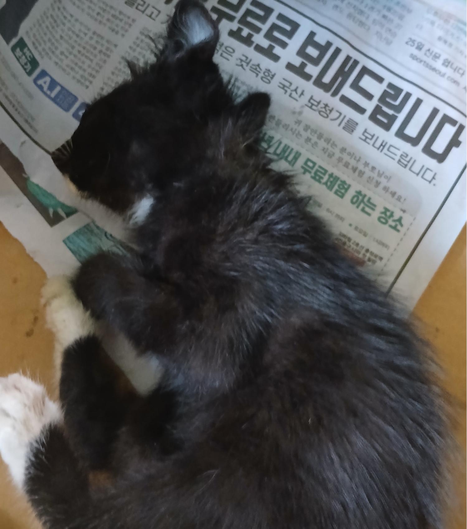 종료(자연사) 한국…