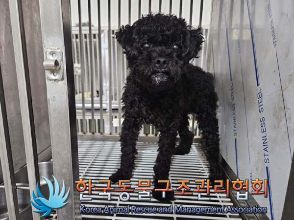 한국동물구조관리협회_411316202400504
