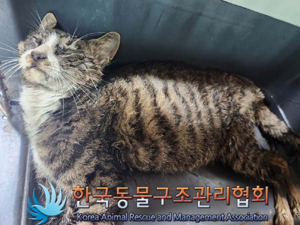 종료(자연사) 한국…