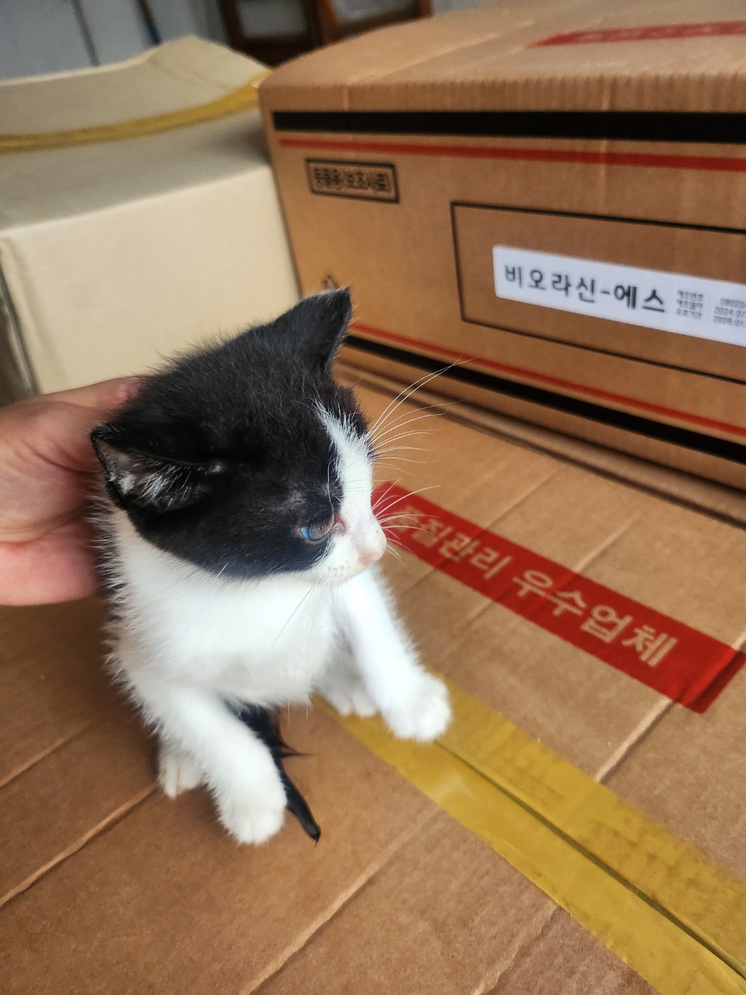 종합축산_447512202400605