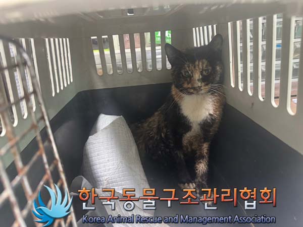 한국동물구조관리협회_441559202400965