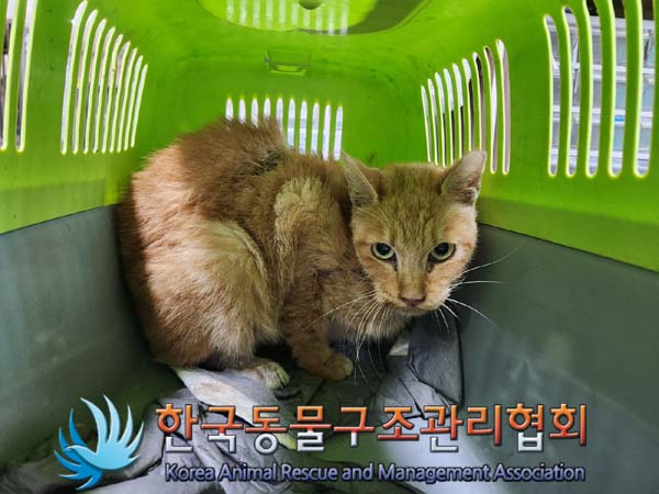 한국동물구조관리협회_411305202400533