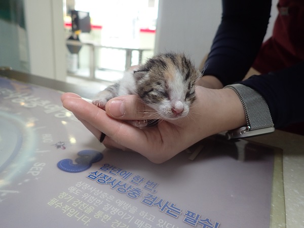 종료(자연사) 한국…