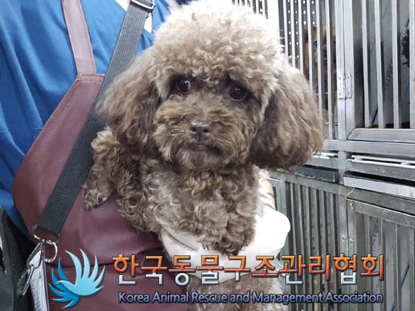 한국동물구조관리협회_411317202400312