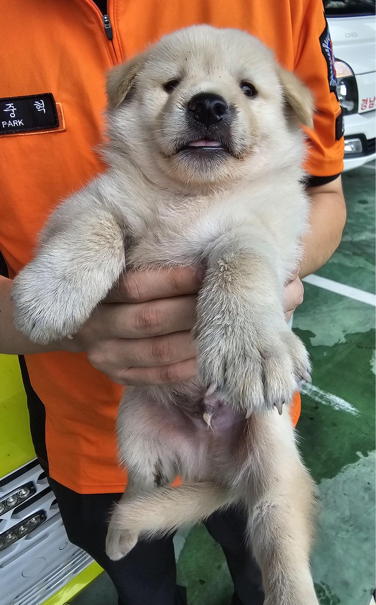 창녕 유기동물보호소_448541202401291