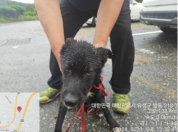 대전동물보호센터_430367202400646