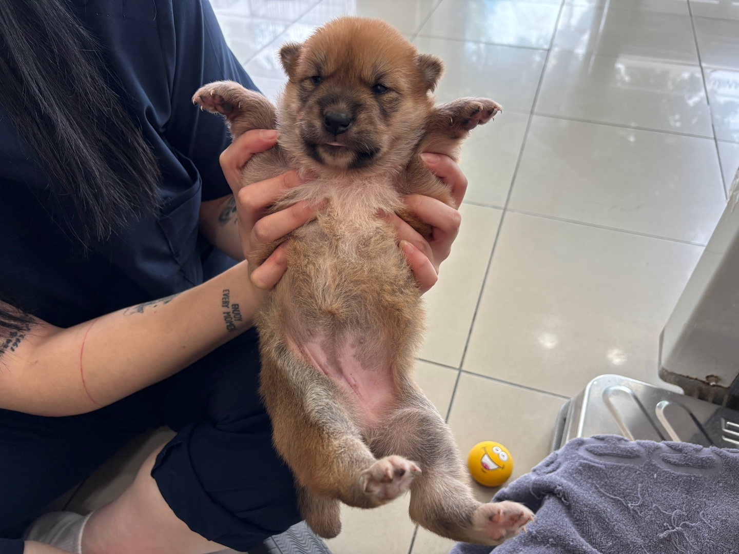 가정동물병원_428356202401587