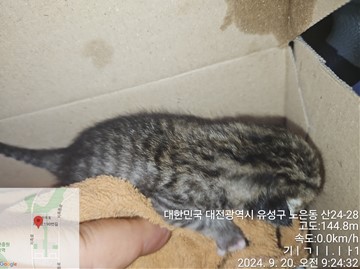 종료(자연사) 코숏…