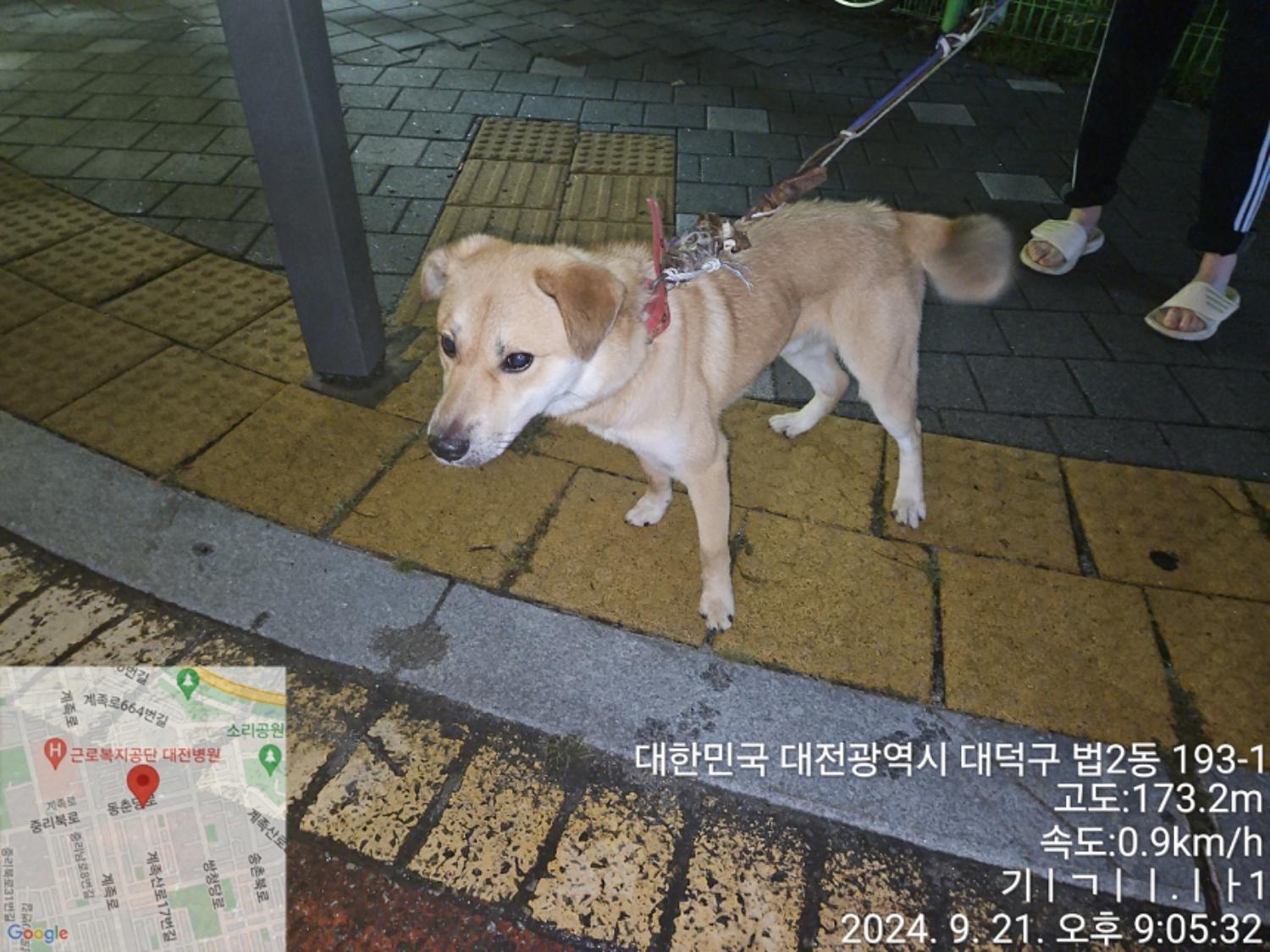 대전동물보호센터_430368202400391