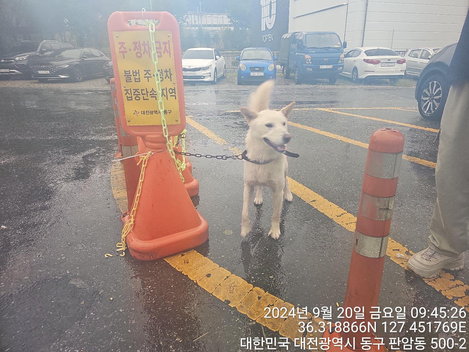 대전동물보호센터_430364202400694