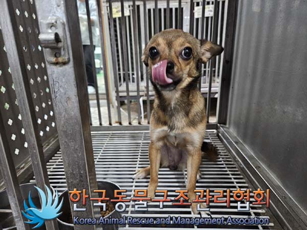 한국동물구조관리협회_411309202400266