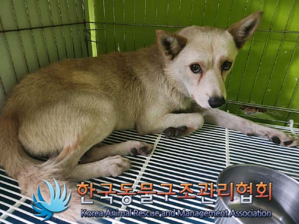 한국동물구조관리협회_441559202400967