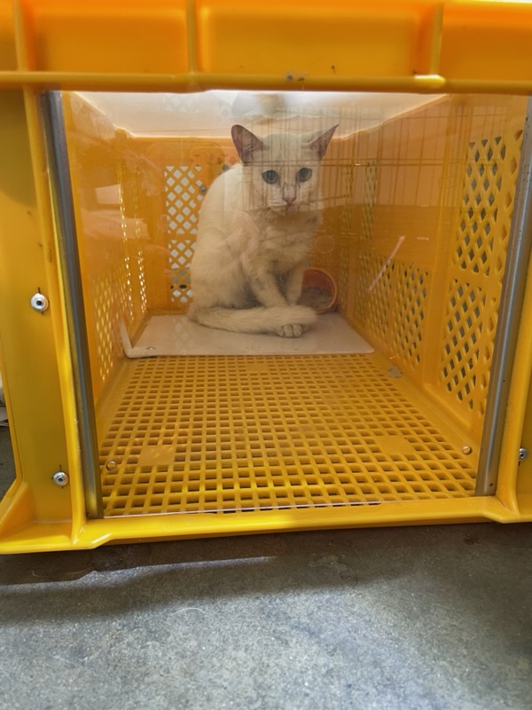 한국동물구조관리협회_411300202400393