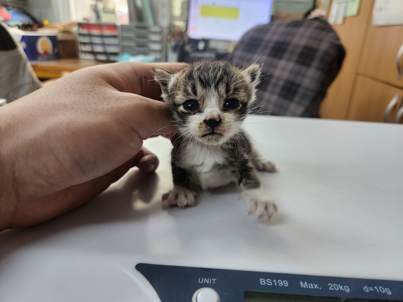 광주 동물보호소_429360202400729