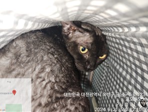 대전동물보호센터_430367202400648
