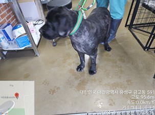 종료(반환) 라브라…