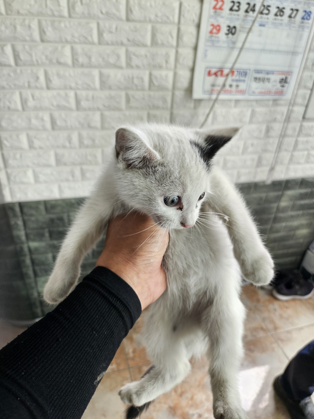 정읍시 동물보호소_445469202401250
