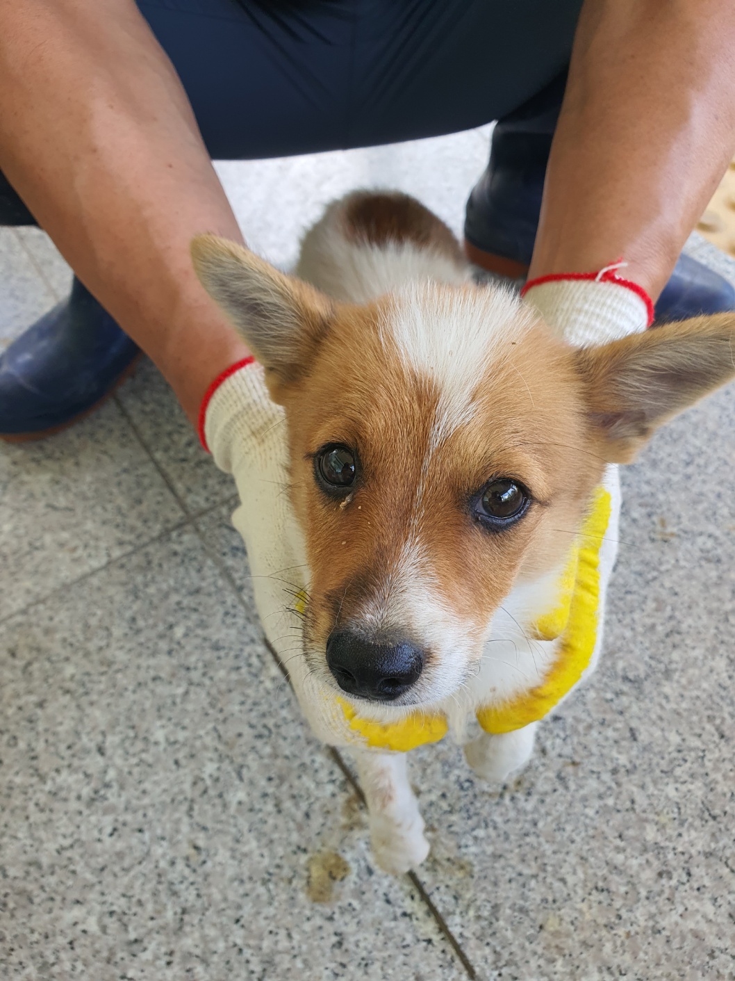구미시 동물보호센터_447508202400812