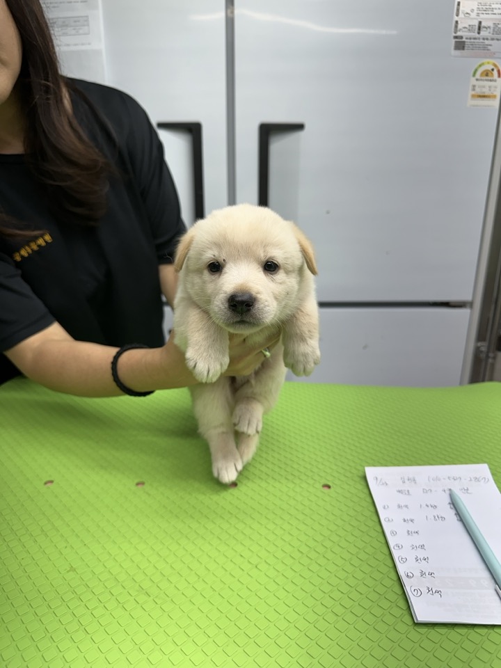 신공항동물병원_428349202400807