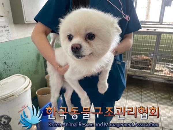 한국동물구조관리협회_411306202400706