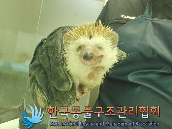 한국동물구조관리협회_411310202400648