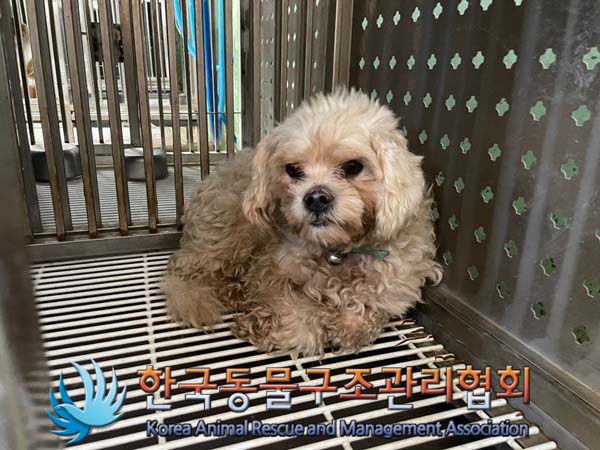 한국동물구조관리협회_441409202401418