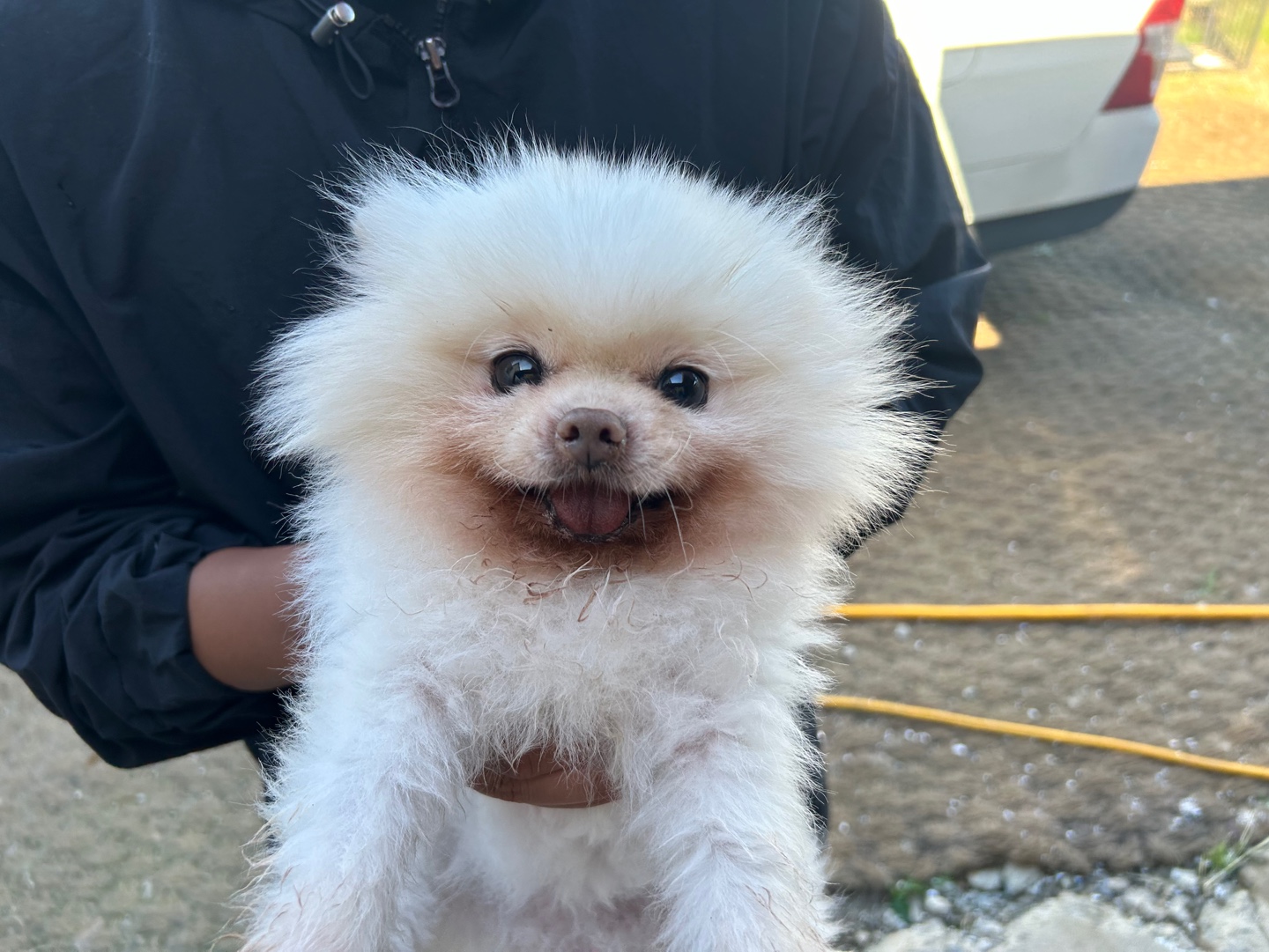 한국야생동물보호협회_441383202400478