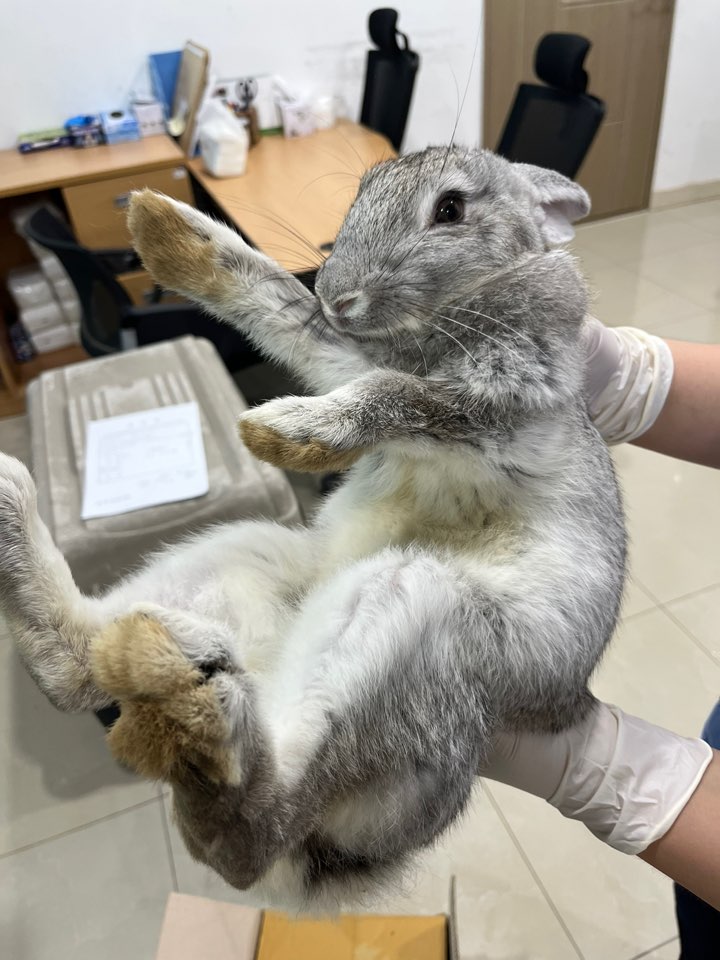 반려동물보호센터_443571202402358