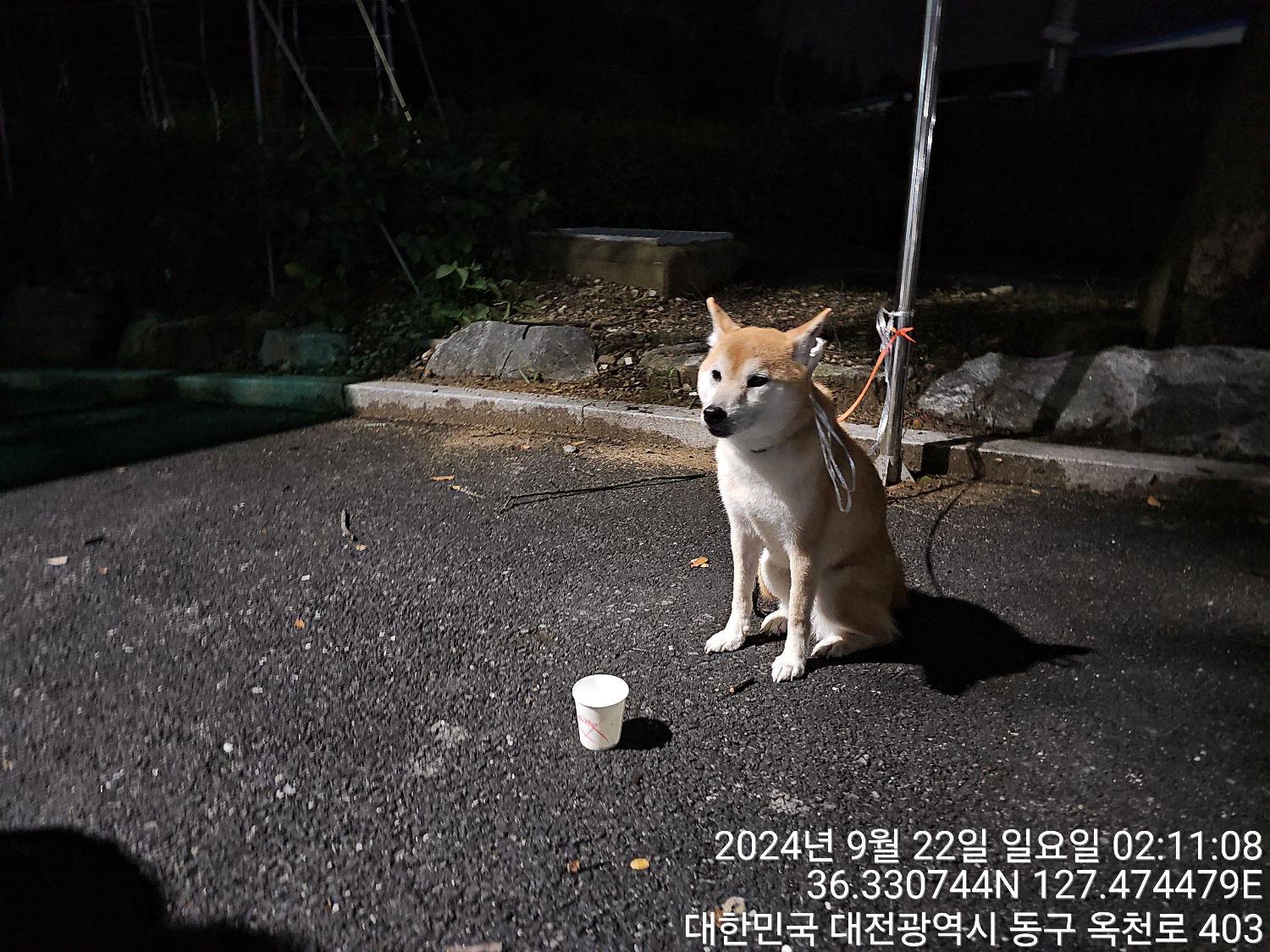 종료(반환) 시바의…