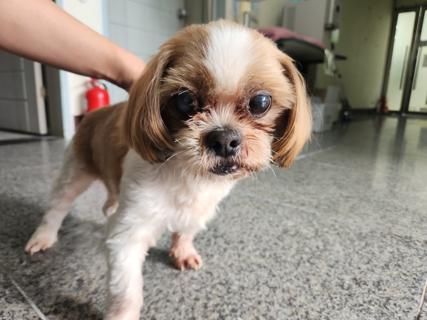 광주 동물보호소_429363202400952