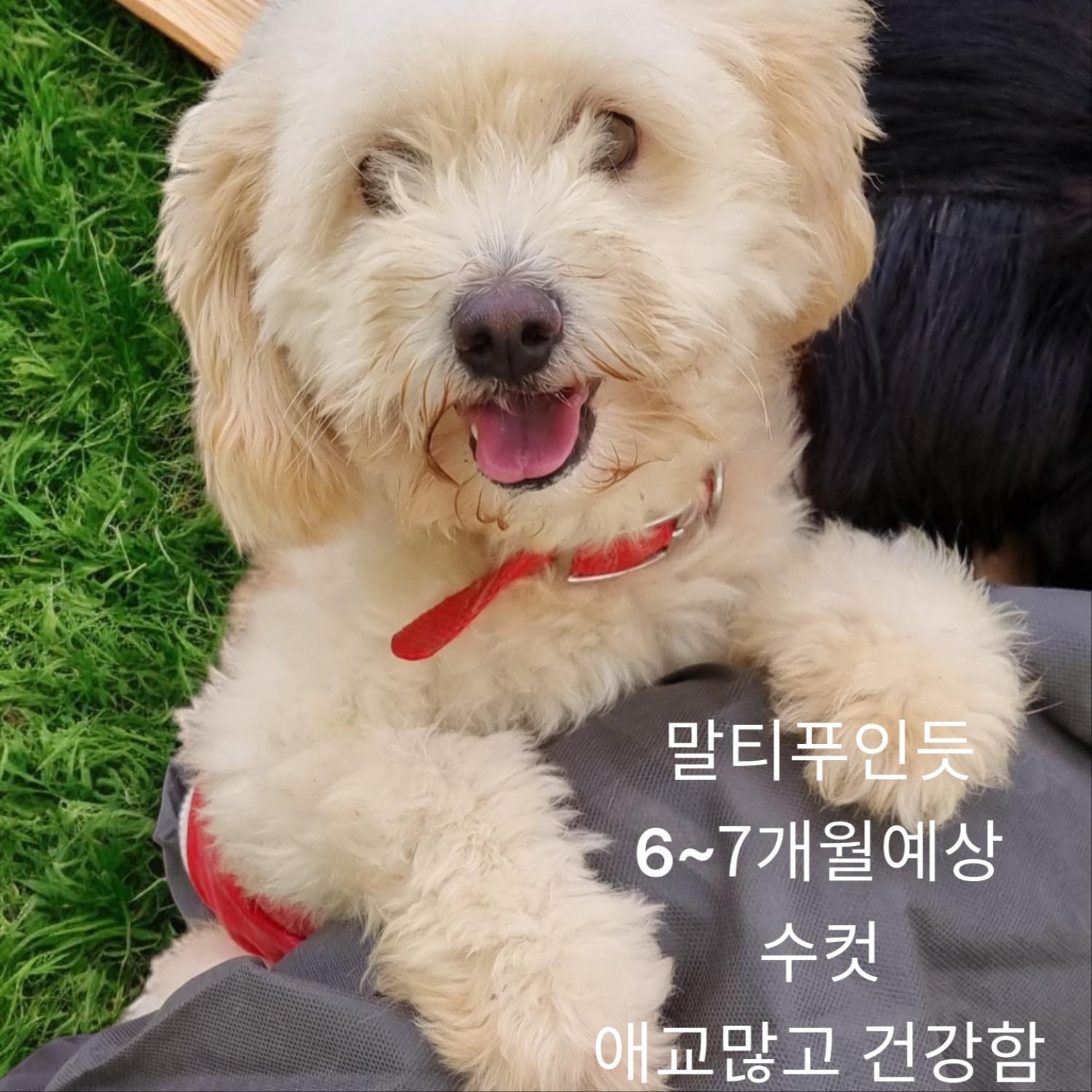 성주유기동물보호센터_447521202400420