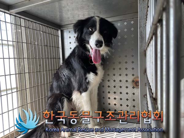 한국동물구조관리협회_411307202400465