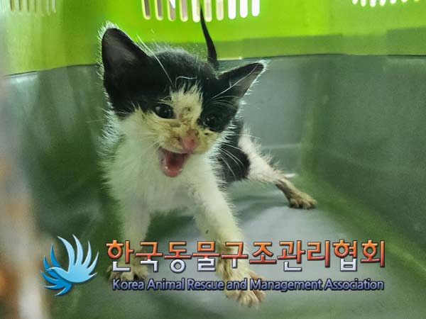 종료(자연사) 한국…