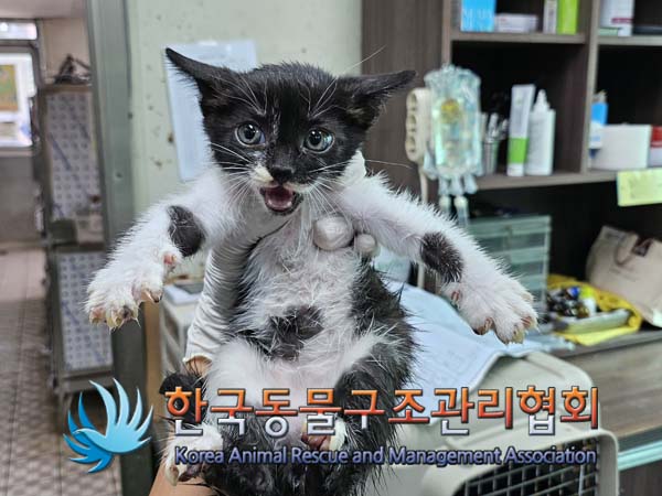 종료(자연사) 한국…