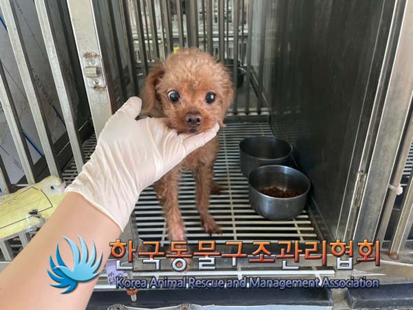 한국동물구조관리협회_441409202401421